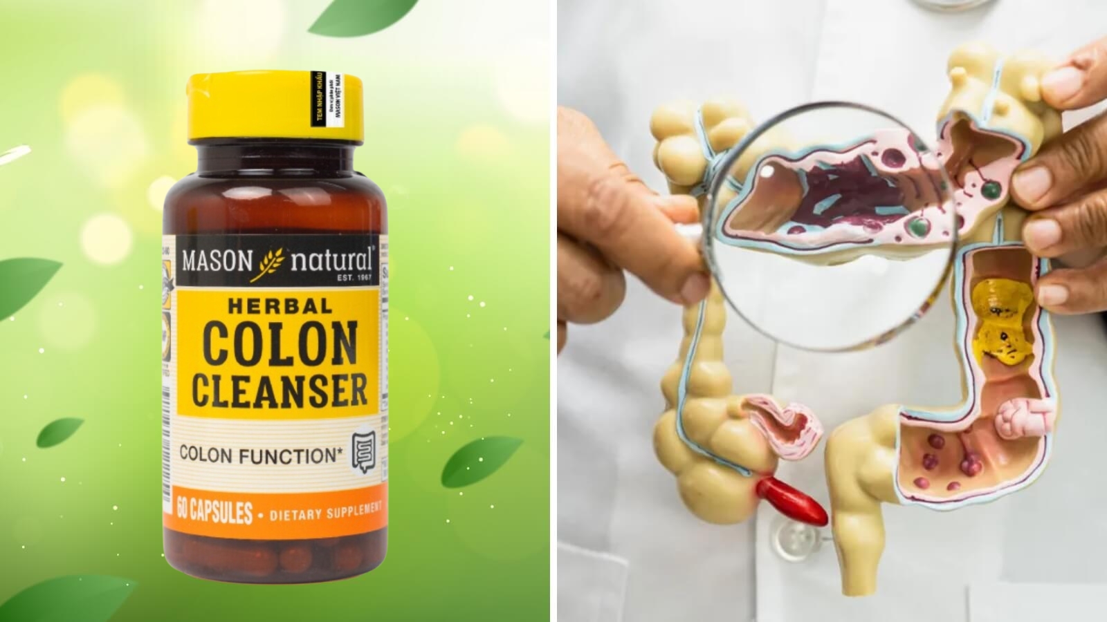 Mason Colon Herbal Cleanser