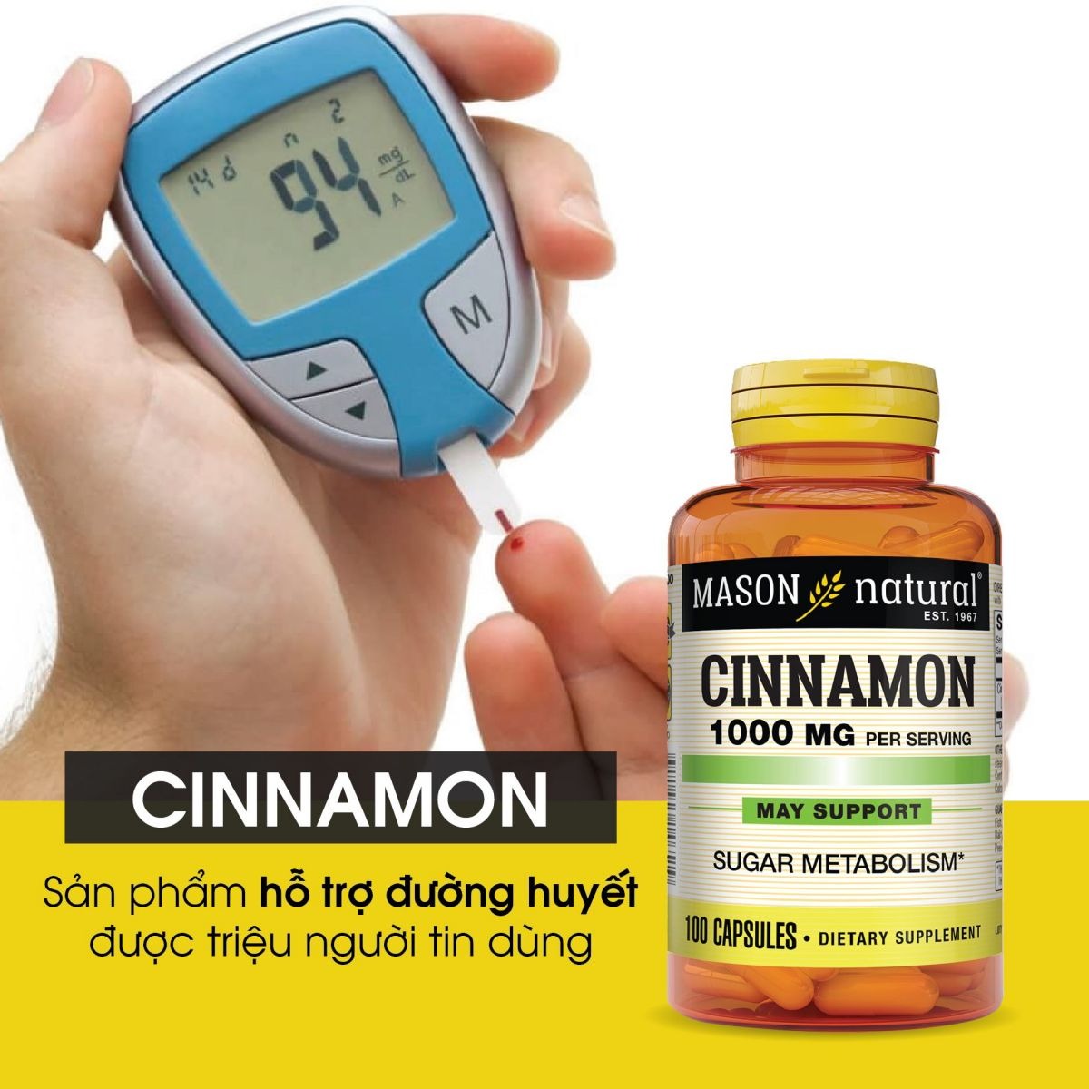 Mason Natural Cinnamon 1000mg