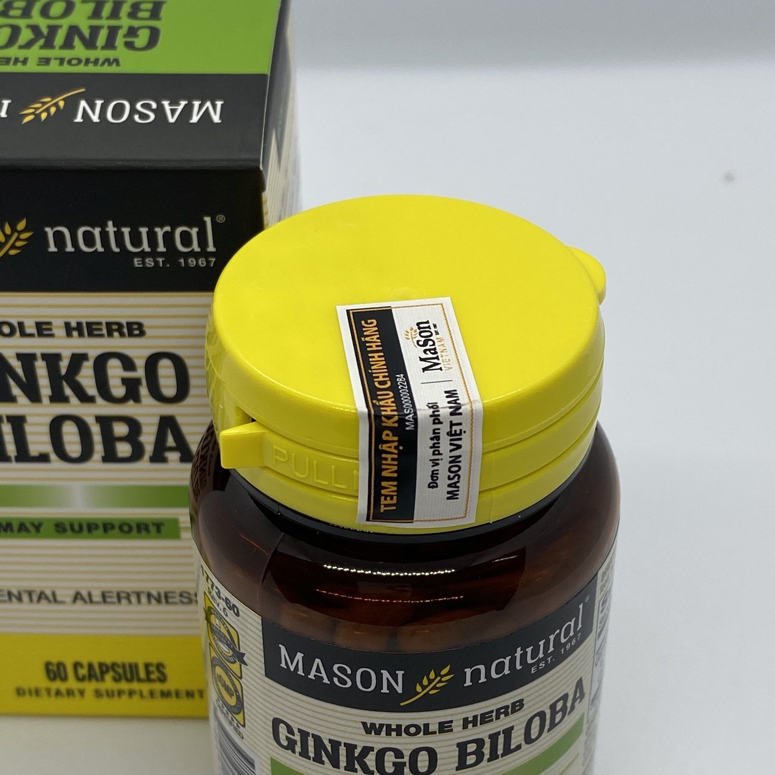 Mason Natural Ginkgo Biloba