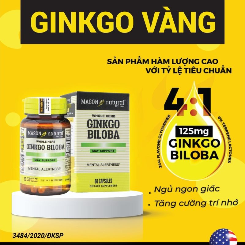 Mason Natural Ginkgo Biloba
