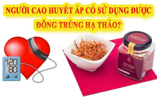 Huyết áp cao có dùng được đông trùng hạ thảo 