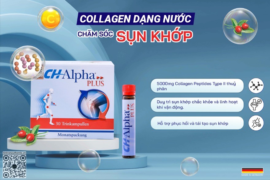 Collagen và Sụn Khớp: Cách CH Alpha Plus Hỗ Trợ Sức Khỏe Của Bạn