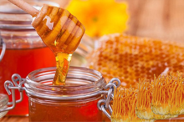6 cách ngâm đông trùng hạ thảo với mật ong chuẩn nhất
